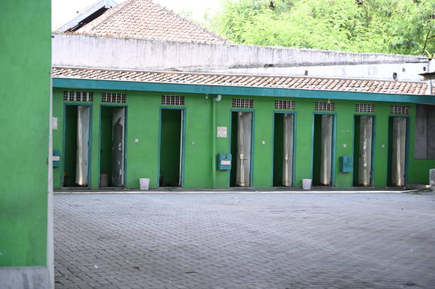 Best Local porta potty services  in Mount Vista, WA